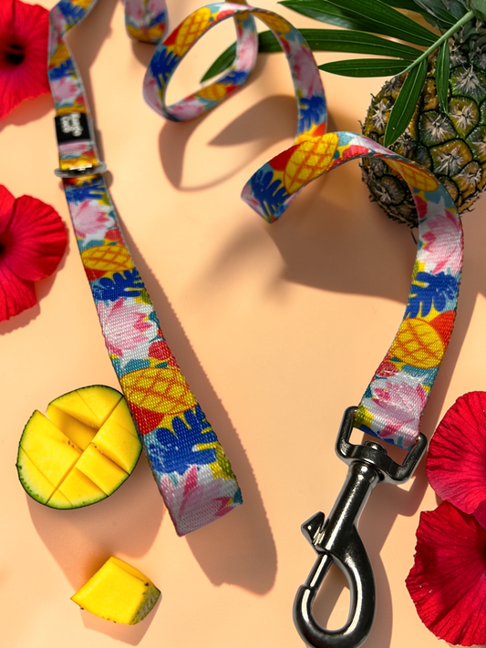 🥭 Dog Leash