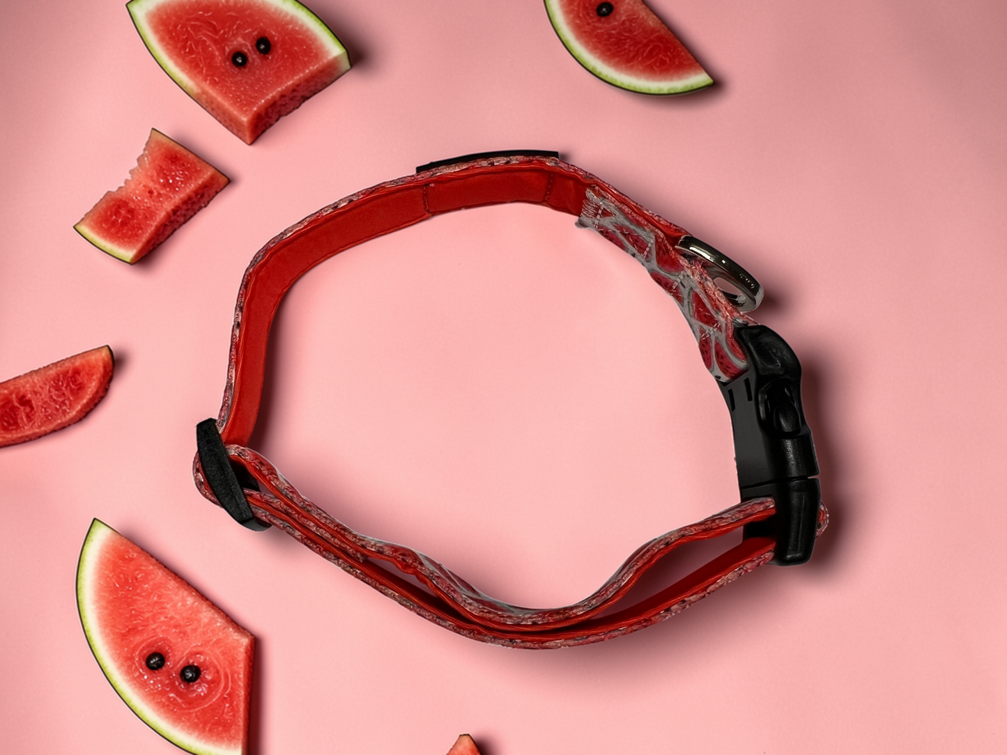 🍉 Dog Collar
