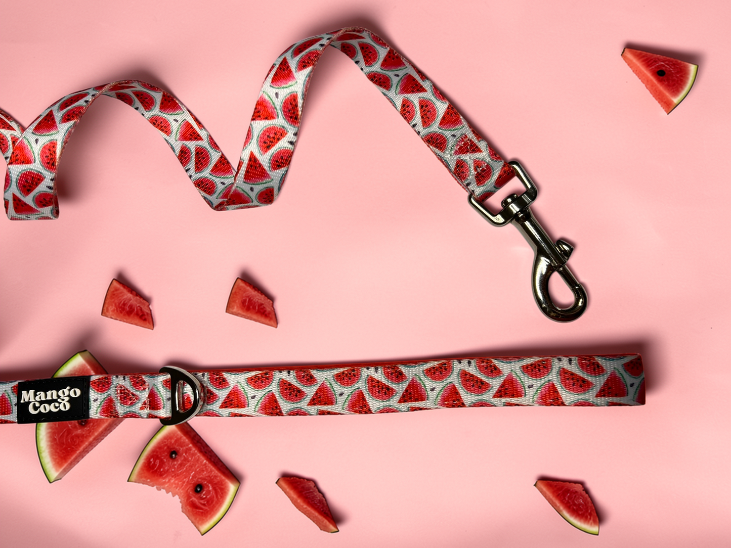 🍉 Dog Leash