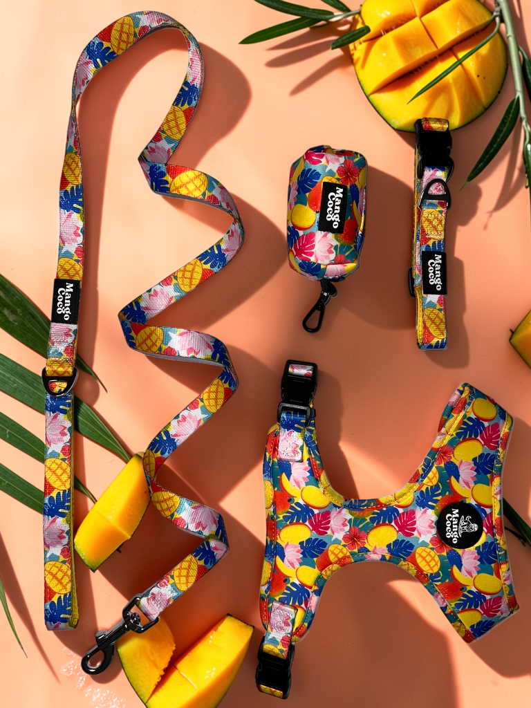 🥭 Mango Collection
