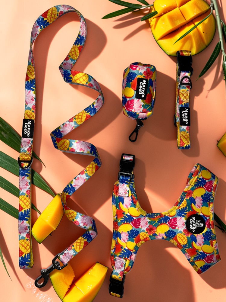 🥭 Mango Collection