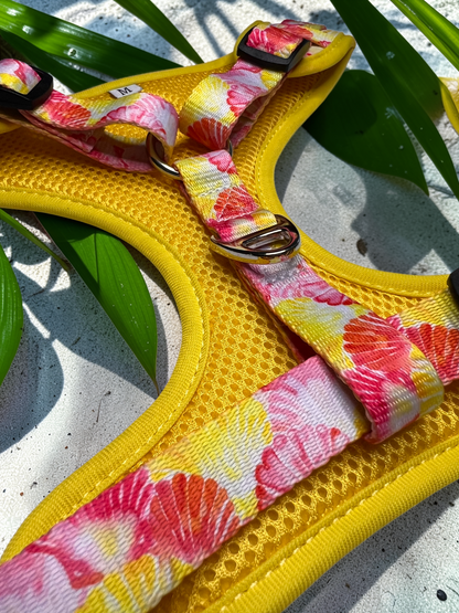 🐚 Adjustable Dog Harness