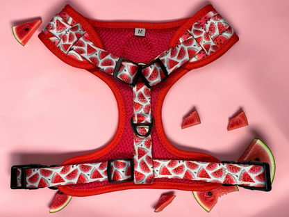 🍉 Adjustable Dog Harness