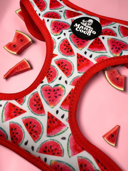 🍉 Adjustable Dog Harness