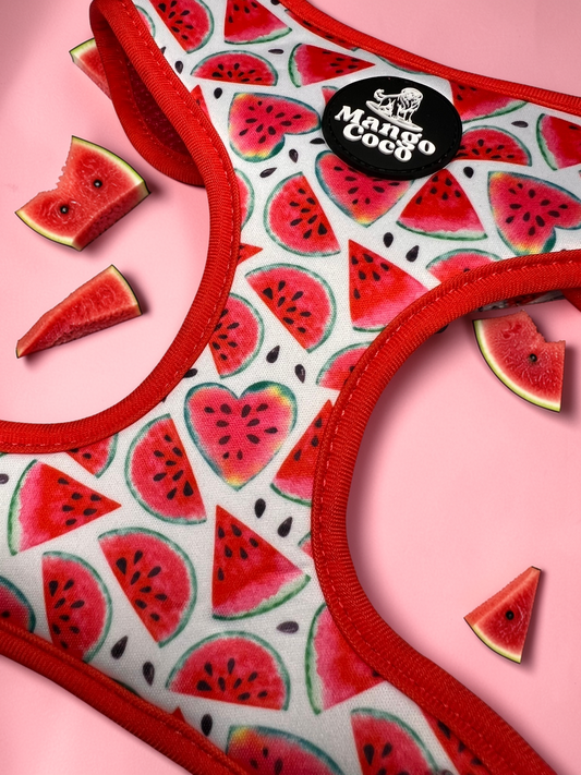 🍉 Adjustable Dog Harness
