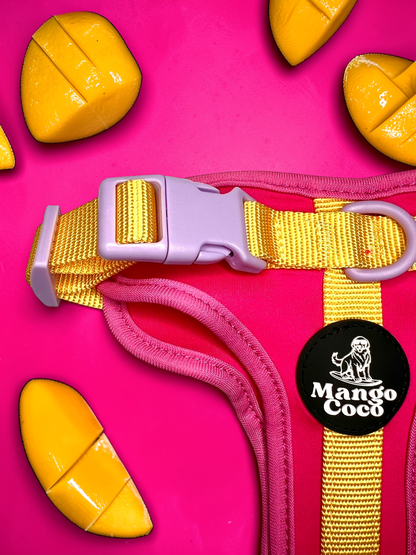 🩷 No-Pull Dog Harness