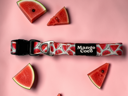 🍉 Dog Collar