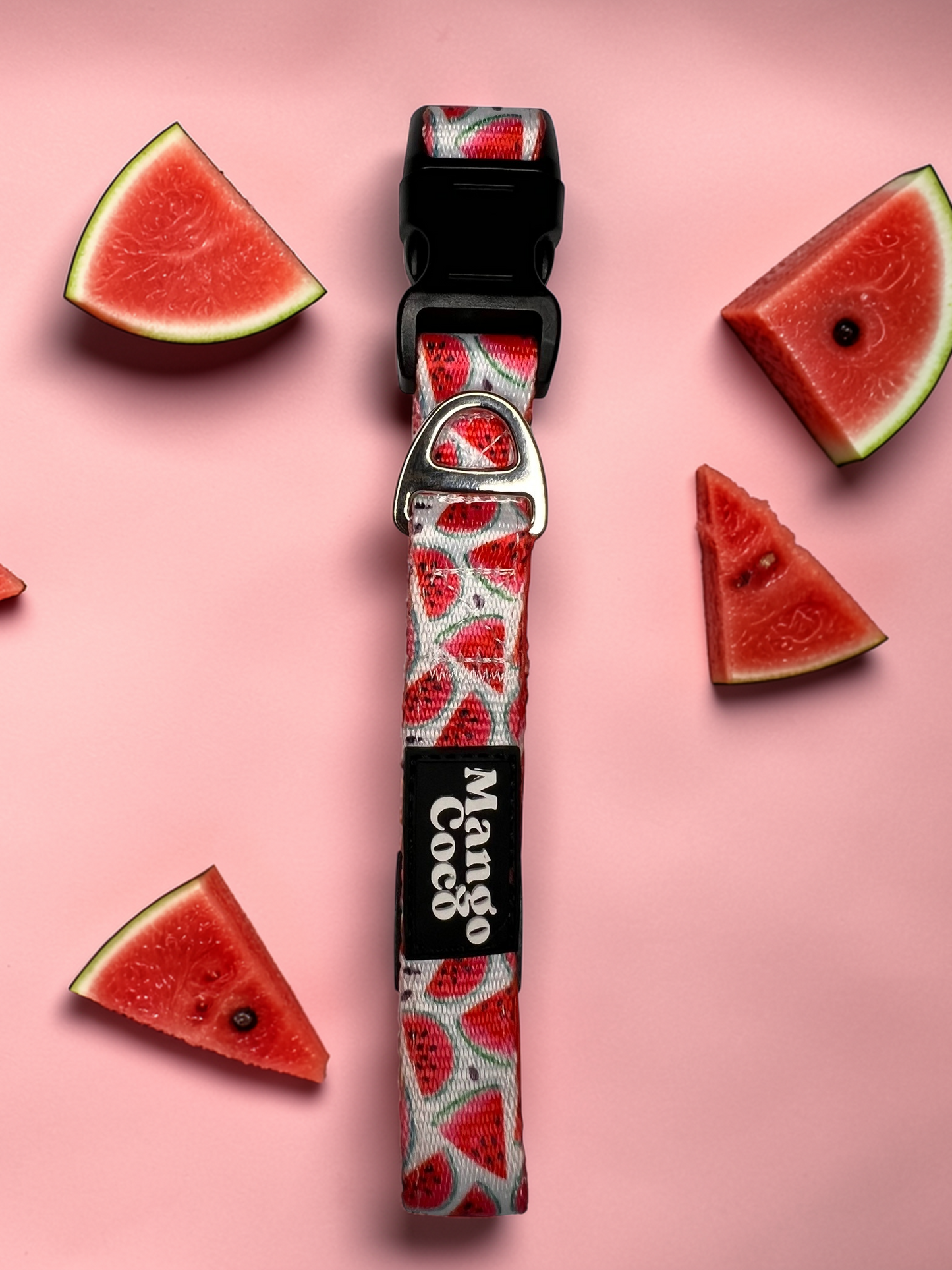 🍉 Dog Collar