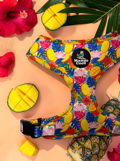 🥭 Adjustable Dog Harness