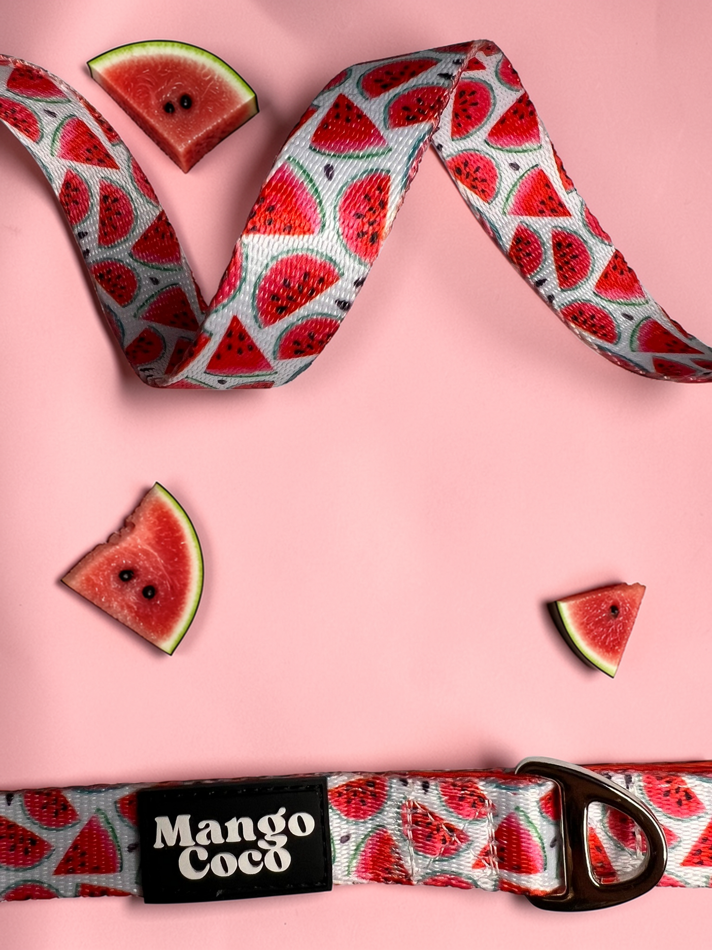 🍉 Dog Leash