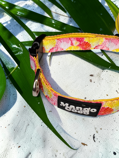🐚 Dog Collar