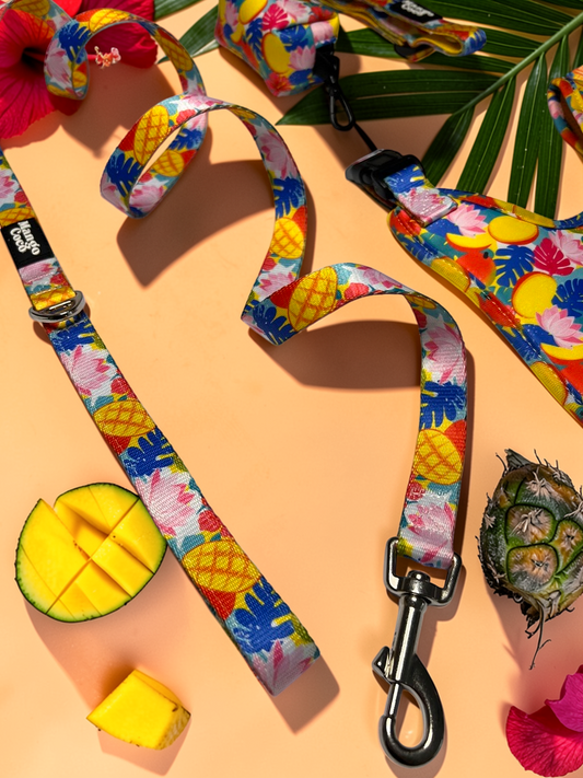 🥭 Dog Leash
