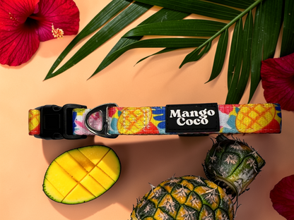 🥭 Dog Collar
