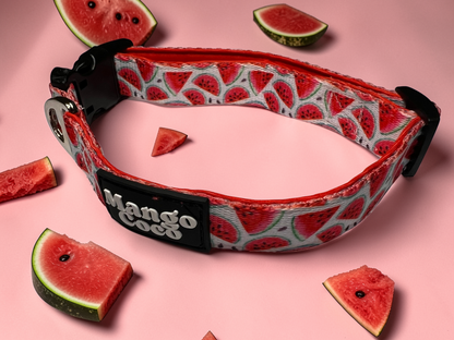 🍉 Collection Set