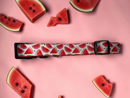 🍉 Dog Collar