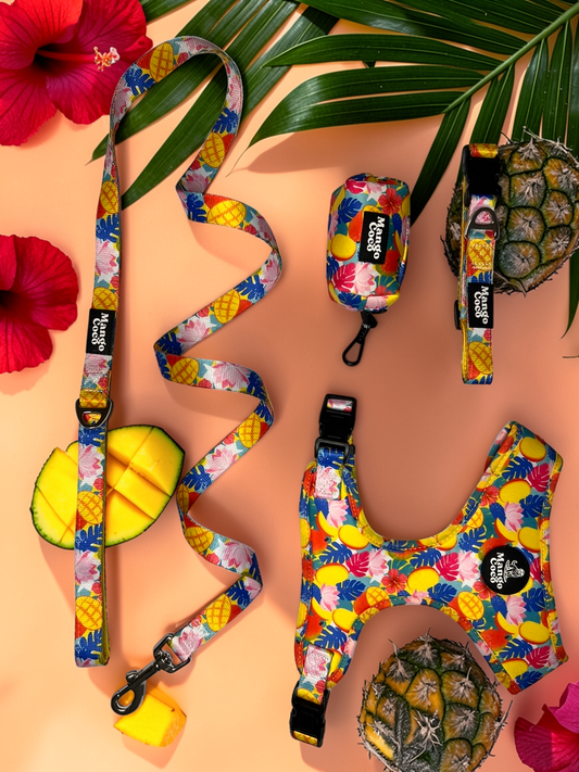 🥭 Collection Set
