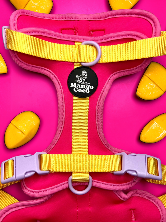 🩷 No-Pull Dog Harness