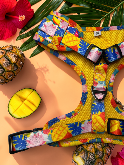 🥭 Adjustable Dog Harness
