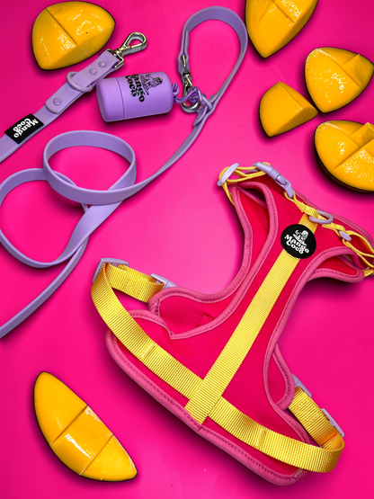 🩷 Sunset Collection Set
