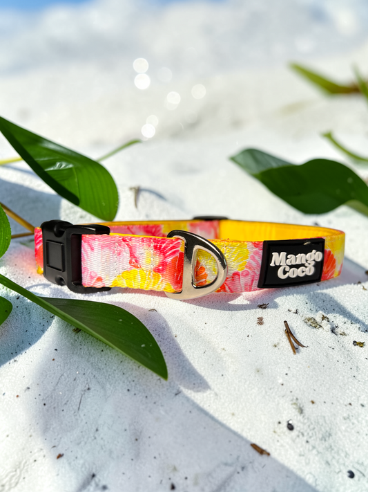 🐚 Dog Collar