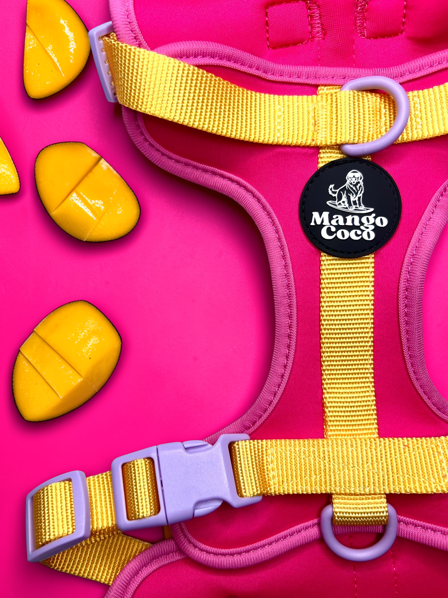 🩷 No-Pull Dog Harness