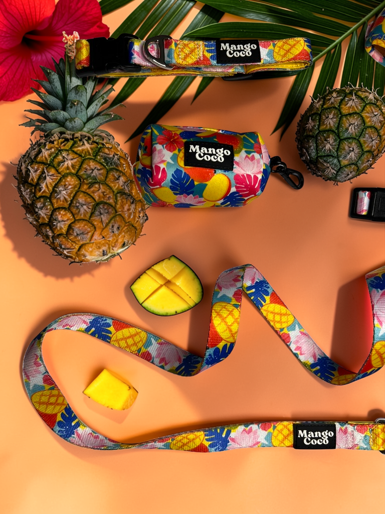 🥭 Collection Set