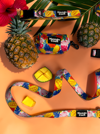 🥭 Collection Set