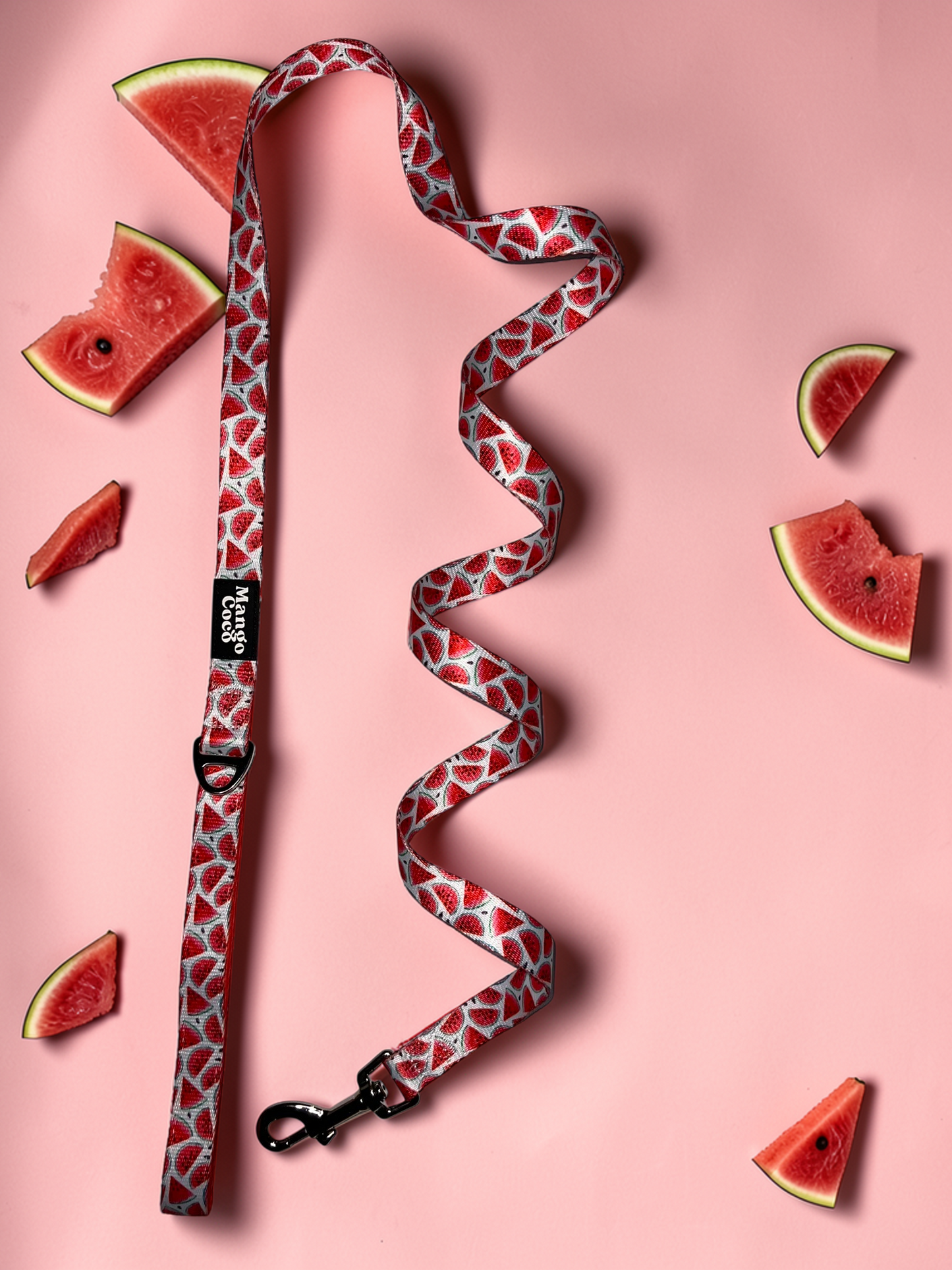 🍉 Dog Leash