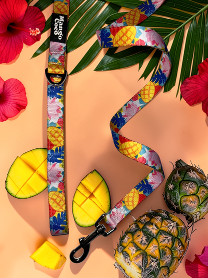 🥭 Dog Leash