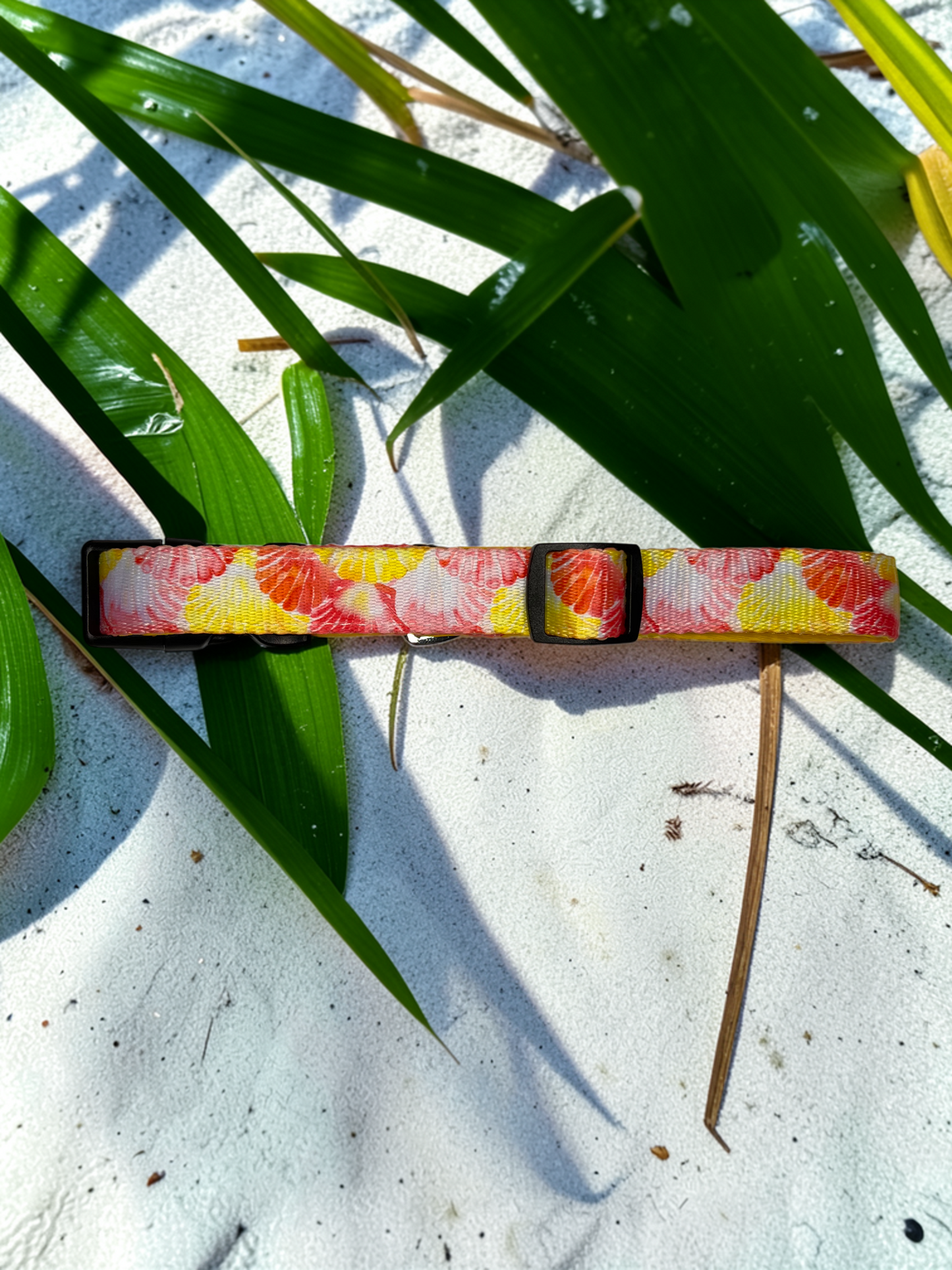 🐚 Dog Collar