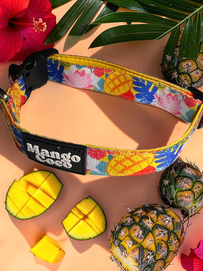 🥭 Dog Collar