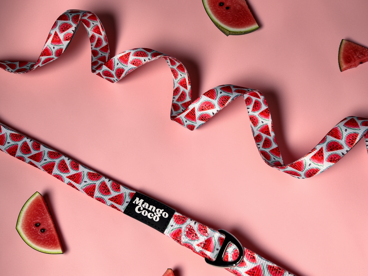 🍉 Dog Leash