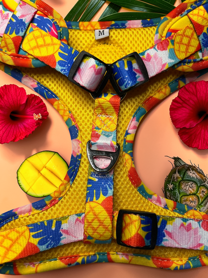 🥭 Adjustable Dog Harness