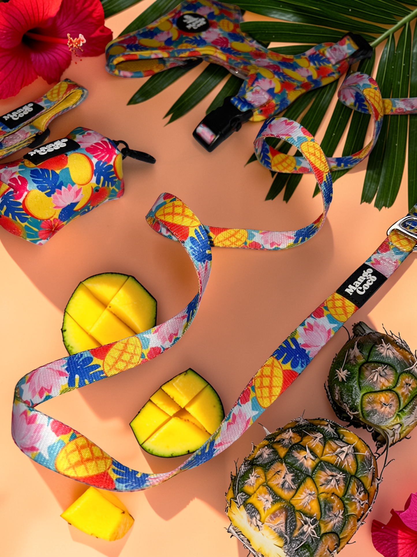 🥭 Collection Set