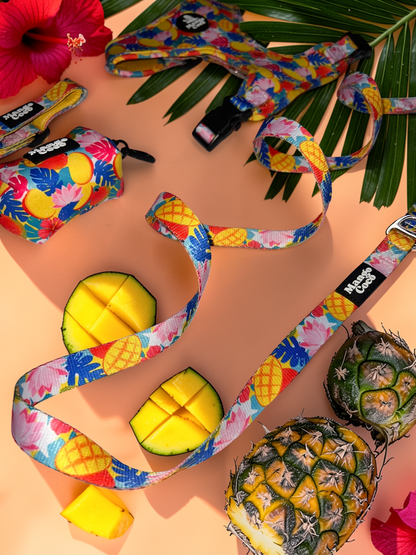 🥭 Collection Set