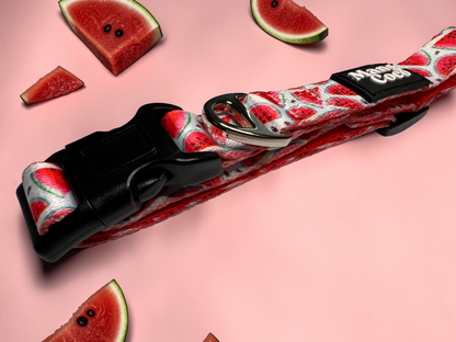 🍉 Dog Collar