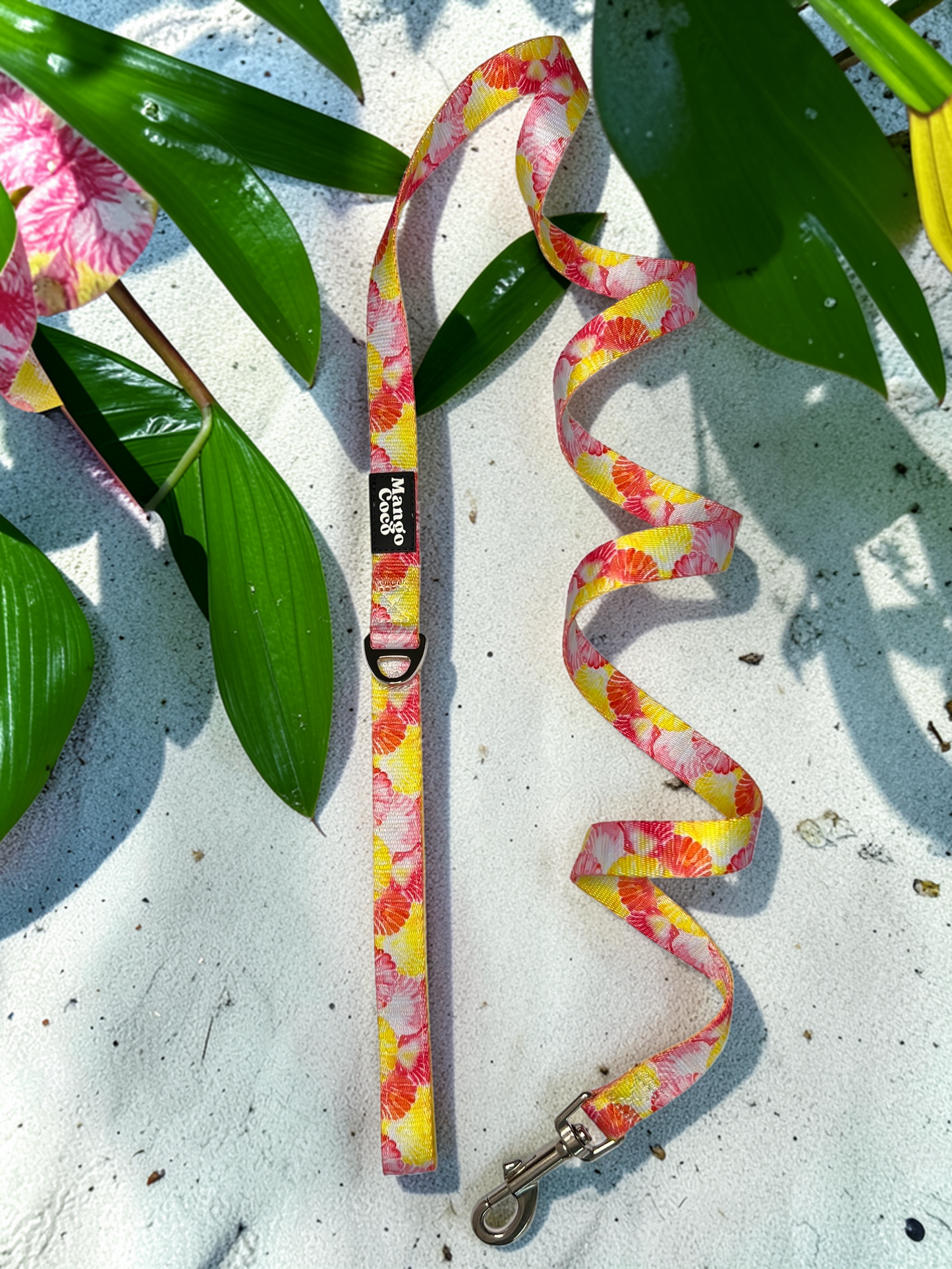 🐚 Dog Leash