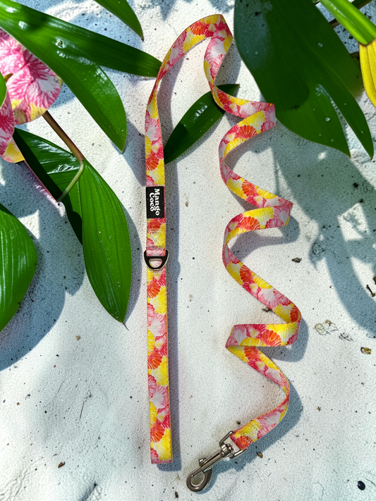 🐚 Dog Leash