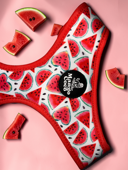 🍉 Adjustable Dog Harness
