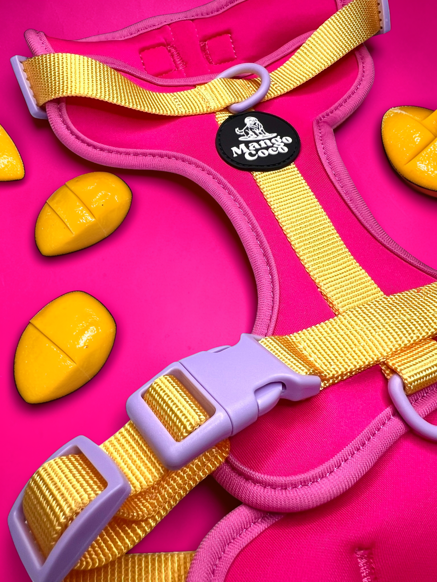 🩷 No-Pull Dog Harness