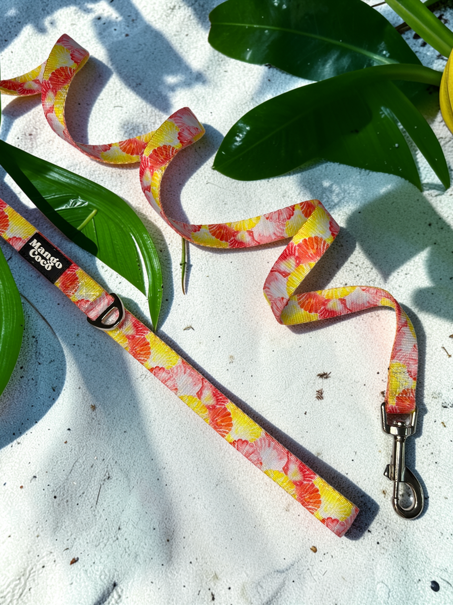 🐚 Dog Leash