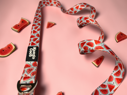 🍉 Dog Leash
