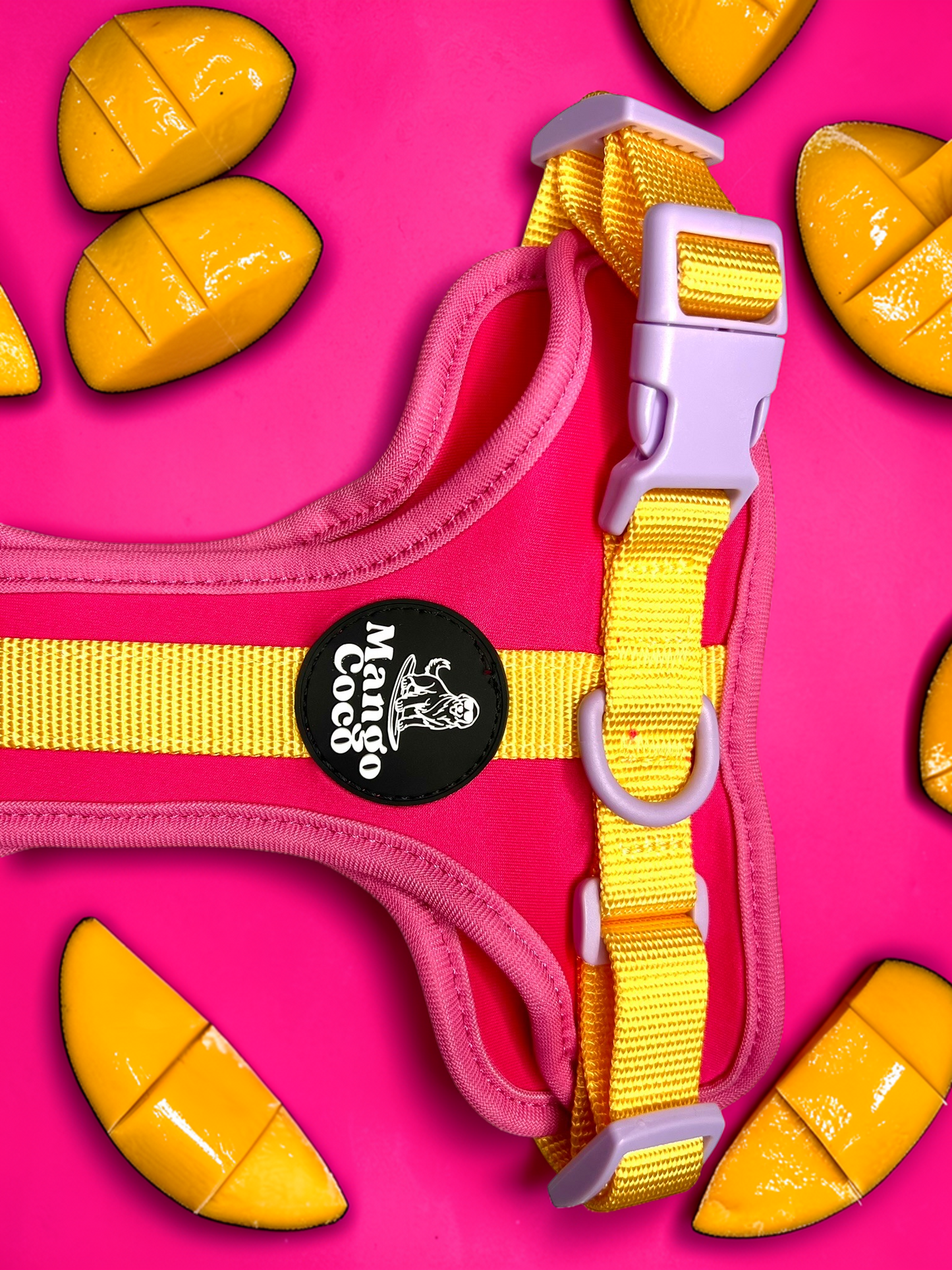 🩷 No-Pull Dog Harness
