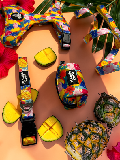 🥭 Collection Set