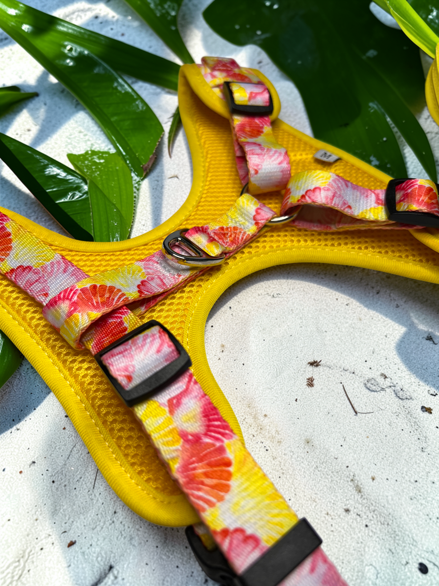 🐚 Adjustable Dog Harness