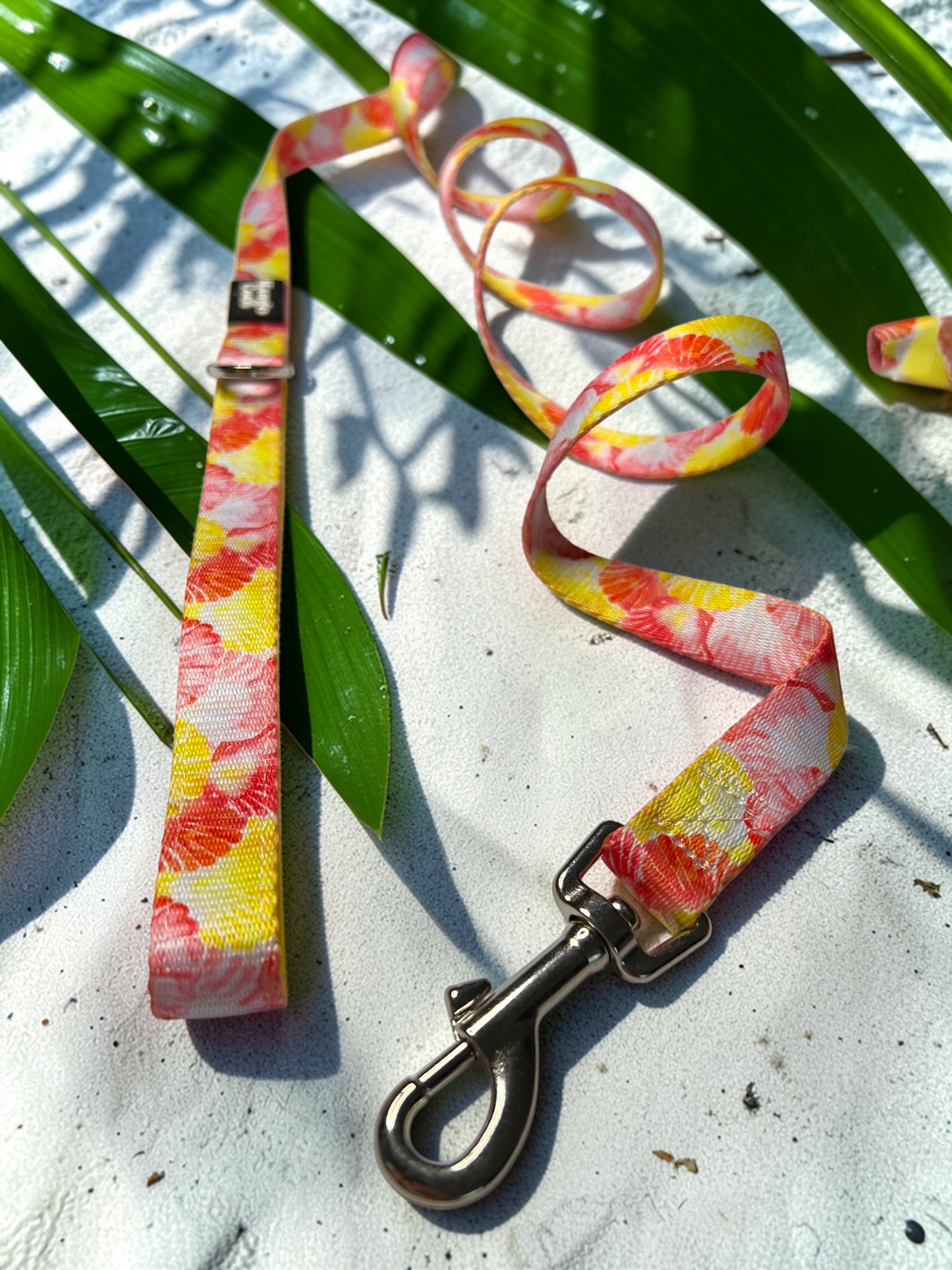 🐚 Dog Leash