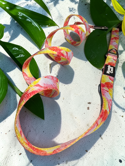 🐚 Dog Leash