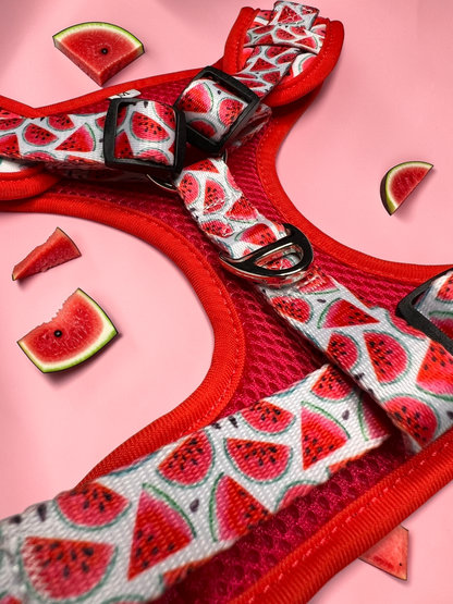 🍉 Collection Set