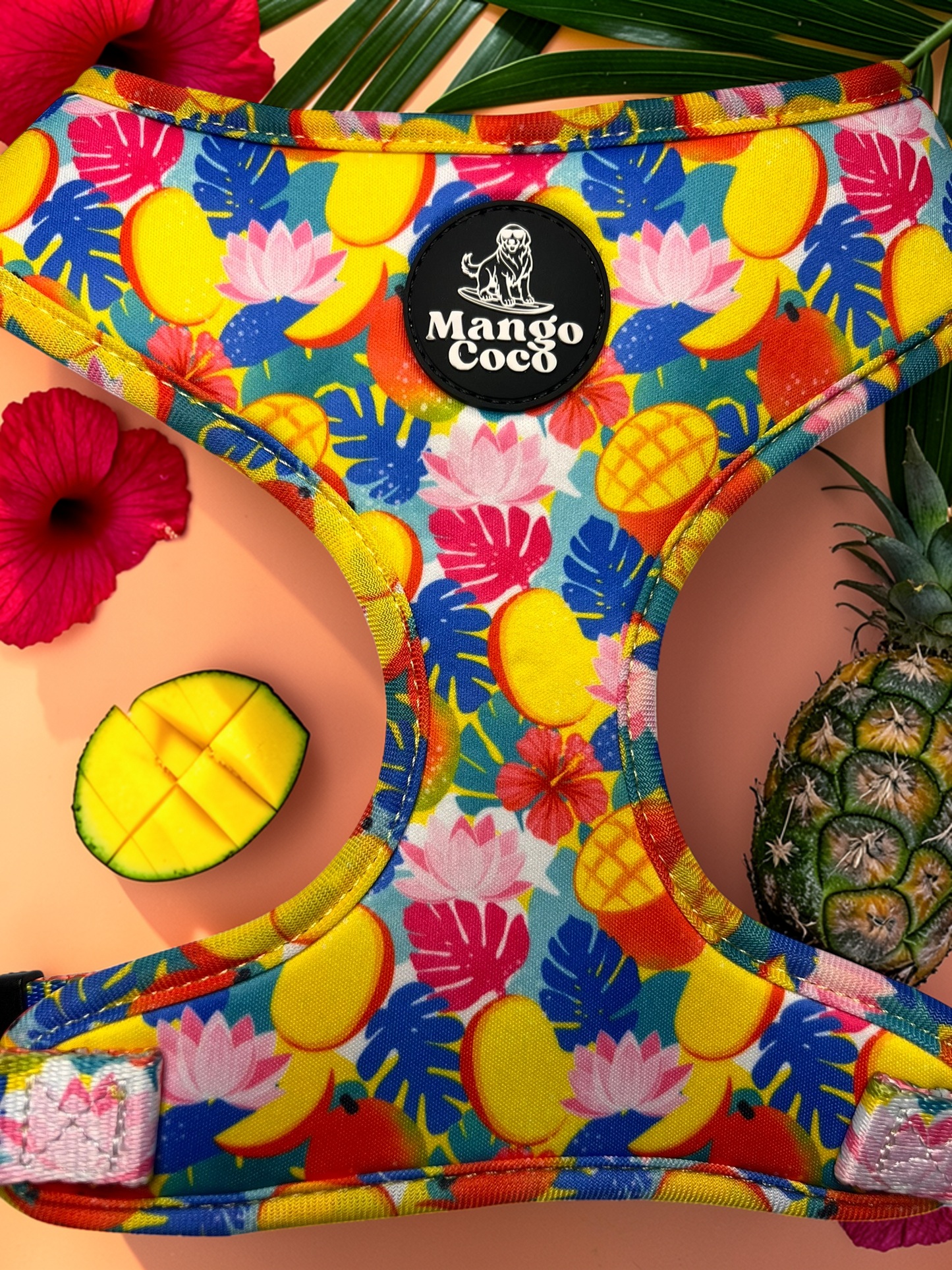 🥭 Collection Set