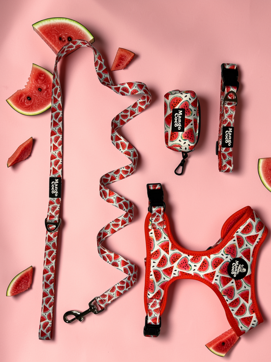 🍉 Collection Set